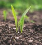 Diving into Research and Innovations in Agri-Science