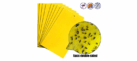 Aphid and Flies Yellow Trap