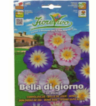 Bella Di Giorno Flower Seeds