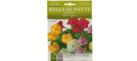 Bella Di Notte Flower Seeds
