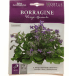 Borragine Flower Seeds