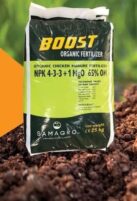 Pelleted Chicken Manure- Belgium