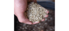 Vermiculite- Europe