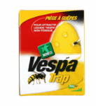 Wasp Traps