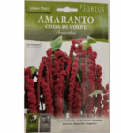 Amaranto Flower Seeds