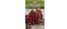 Amaranto Flower Seeds