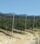 Anti Hail Protection- Italy