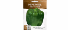 Peperone Yolo Wonder Seeds