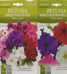 Petunia Flower Seeds
