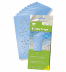 Thrips and Leafminer Blue Traps