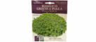 Basilico Greco a Palla Seeds
