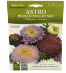 Astro Principessa in Mix Seeds