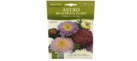 Astro Principessa in Mix Seeds