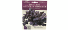 Basilico a Foglia Violetta Seeds