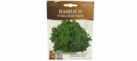 Basilico Foglia Fin Verde Seeds