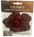Cicoria Rossa Di Verona Precoce Seeds