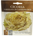 Cicoria Variegata Di Castelfranco Seeds