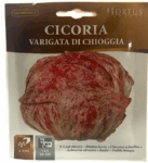 Cicoria Varigata Di Chioggia Seeds
