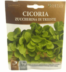 Cicoria Zuccherina Di Trieste Seeds