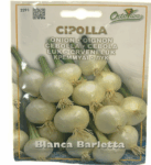 Cipolla Blanca Barletta Onion Seeds