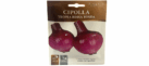 Cipolla Tropea Rossa Tonda Onion Seeds