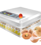 Automatic Incubators