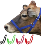 Cattle Halter