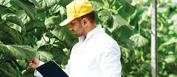 Agricultural Consultant